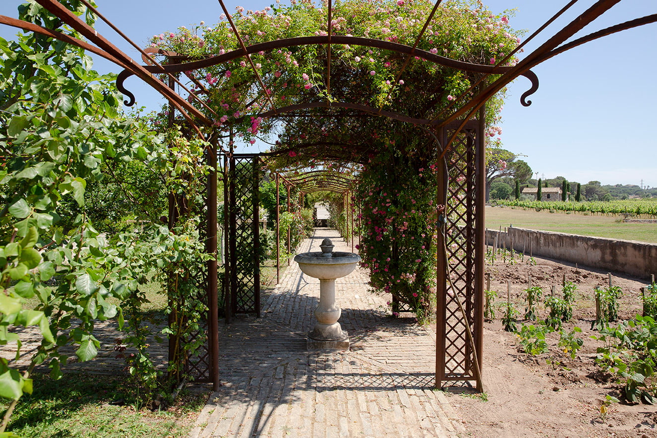 Arches de Jardin Fer Forgé - SavoirFer ferronnier à Fréjus depuis 20 ans